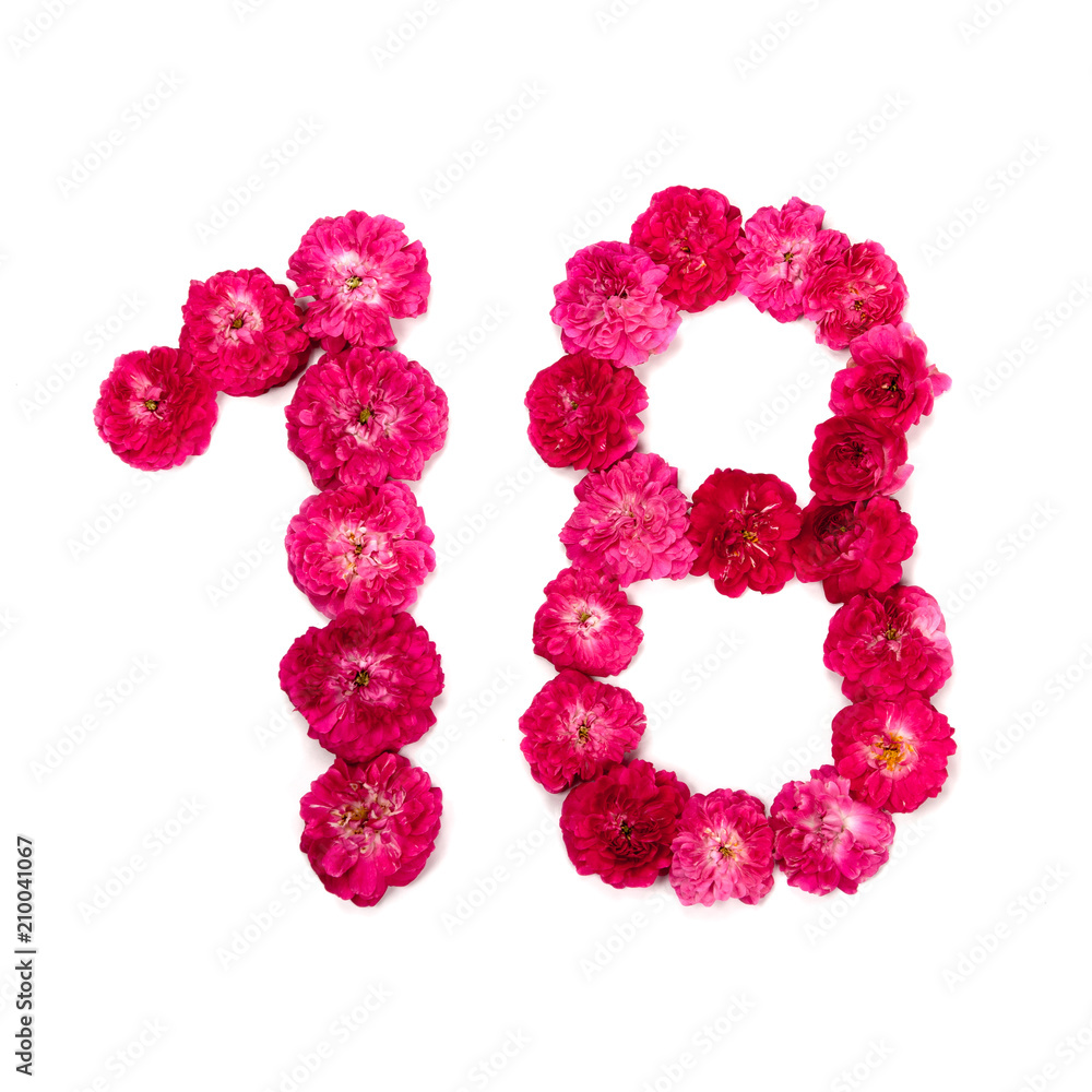 число 18 из цветов красной и розовой розы на белом фоне. Типографический элемент для дизайна. Цветочные числа, цифры, изолят, изолированный