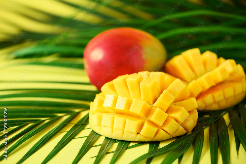 Exotic mango fruit over tropical green palm leaves on yellow background. Copy space. Pop art design, creative summer concept. Banner