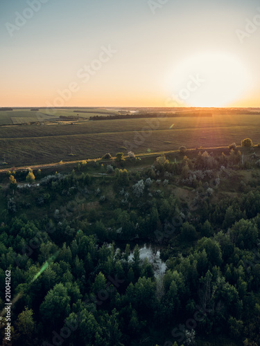 Aerial view or top view from drone or aerostat to summer green pine nature forest at sunset time