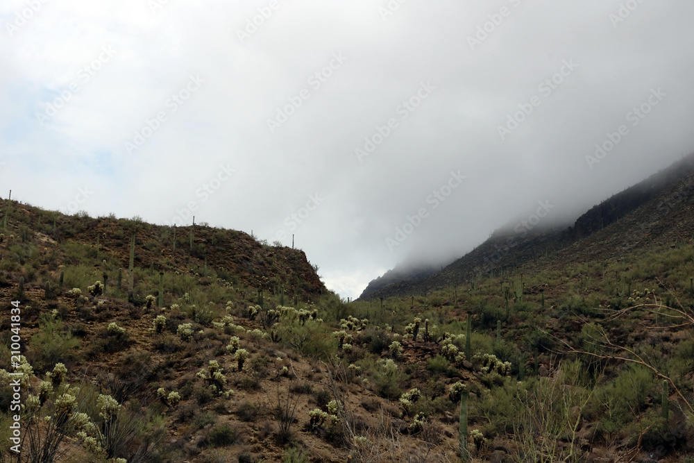 Fog over the Tucson mountains