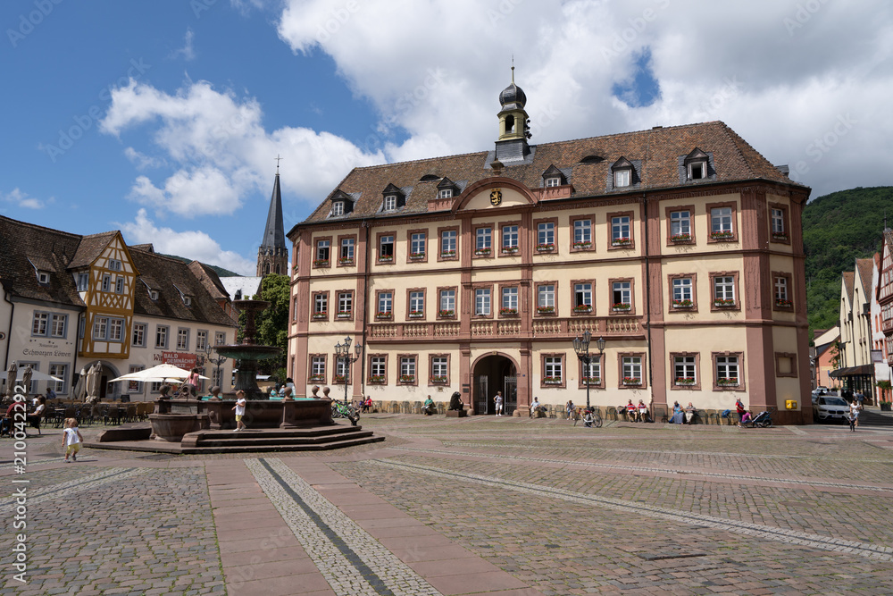 Fototapeta premium Neustadt Weinstraße - Marktplatz
