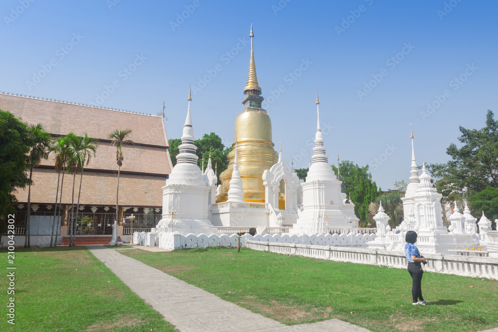Fototapeta premium Suan dok temple beautiful temple in chiangmai,Thailand