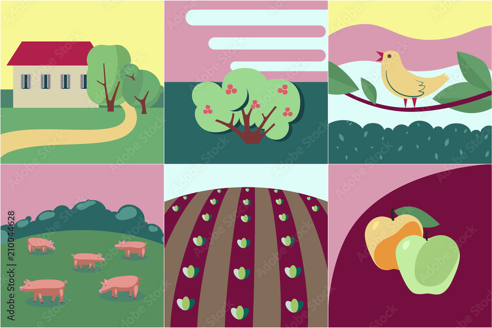 Fototapeta premium rural summer theme