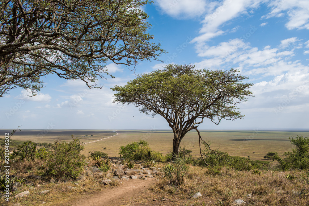 Endless plains of Serengeti National Park, Tanzania Endless plains of Serengeti National Park, Tanzania
