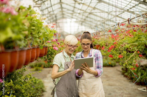 Two senior and young  florist women  selecting flowers while looking instructions from a tablet
