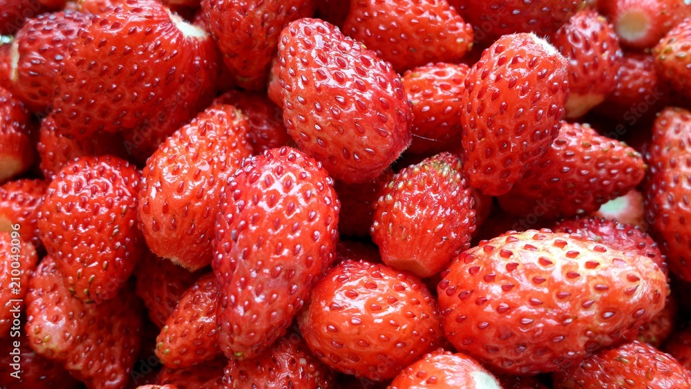 ripe and sweet wild strawberry. harvest of juicy berries close-up ripe and sweet wild strawberry. harvest of juicy berries close-up