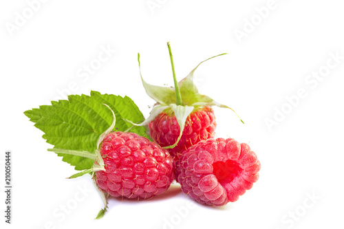 three ripe juicy red berries of a forest raspberry