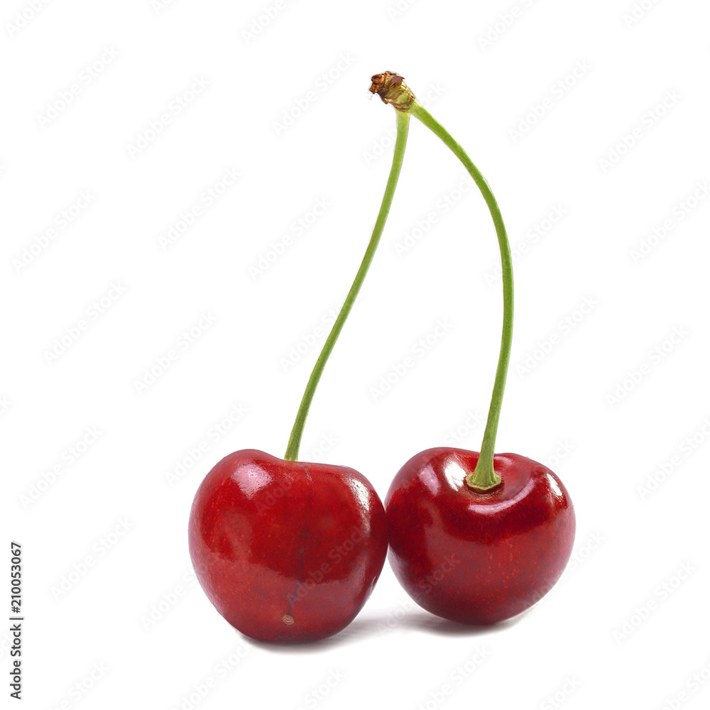 two related ripe big red cherries close two related ripe big red cherries close