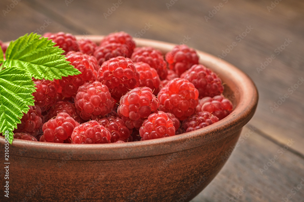 Beautiful berries of a garden of a red raspberry, green leaves of a crimson branch Beautiful berries of a garden of a red raspberry, green leaves of a crimson branch