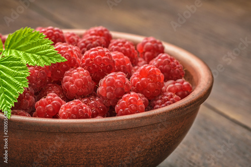 Beautiful berries of a garden of a red raspberry, green leaves of a crimson branch