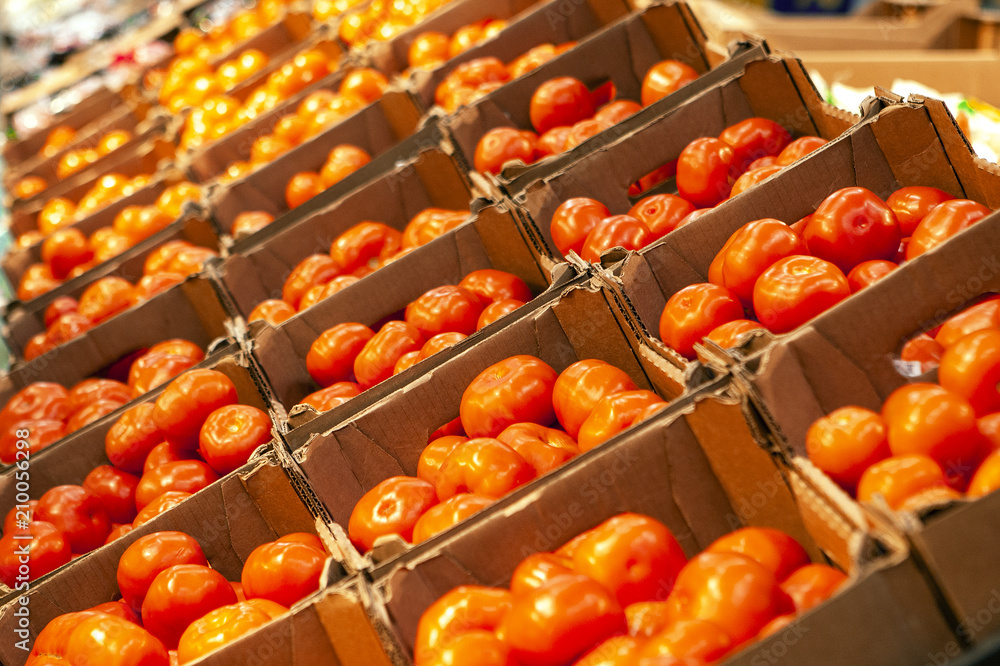 Fresh tomatoes in the shop window. Tomatoes are laid in even rows in cardboard boxes. Fresh tomatoes in the shop window. Tomatoes are laid in even rows in cardboard boxes.
