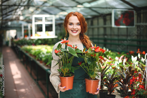 Beautiful smiling florist in apron standing with two flowers in pots and joyfully looking in camera in greenhouse photo