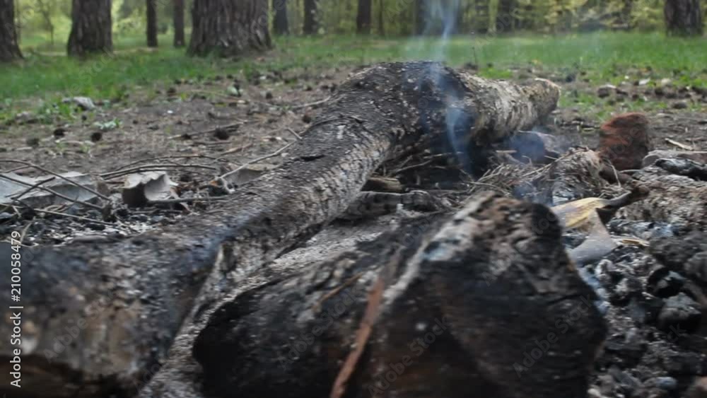 Burned wood fire from which goes the smoke Burned wood fire from which goes the smoke