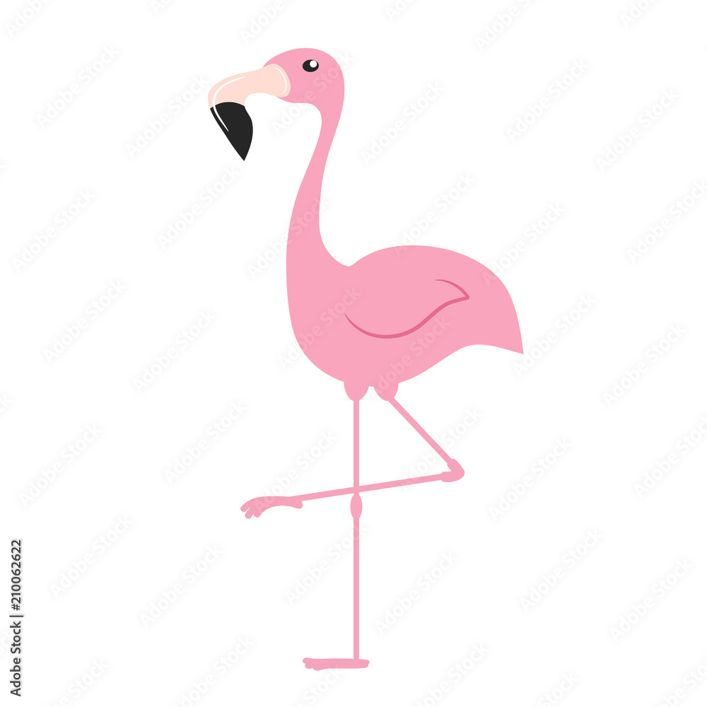 Fototapeta premium Pink flamingo. Exotic tropical bird. Zoo animal collection. Cute cartoon character. Decoration element. Flat design.