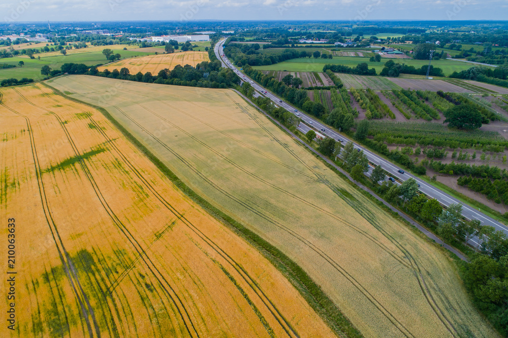 Drone flight and aerial view over a cornfield