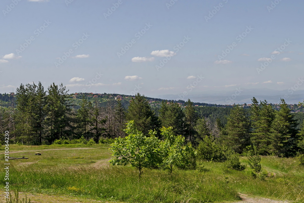 Obraz premium View of springtime glade, forest and residential district of bulgarian village, Vitosha mountain, Bulgaria 