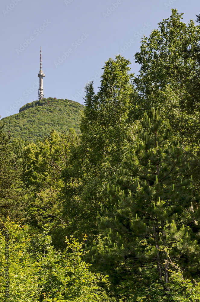 Fototapeta premium Landscape on the part of Vitosha mountain with television tower on a hill, close to Sofia, Bulgaria, Europe 