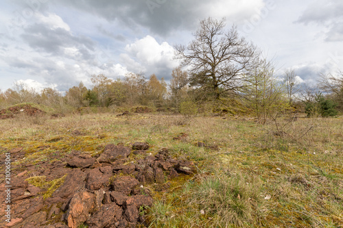 Walk over old mining area photo