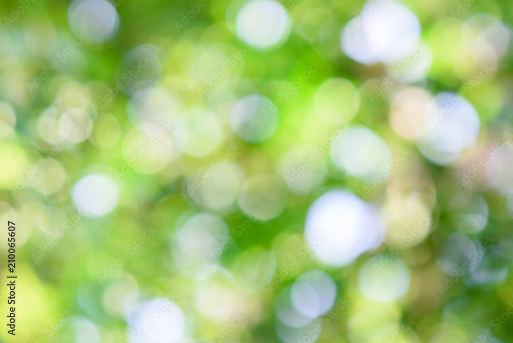green bokeh background , Natural green blurred green bokeh background , Natural green blurred