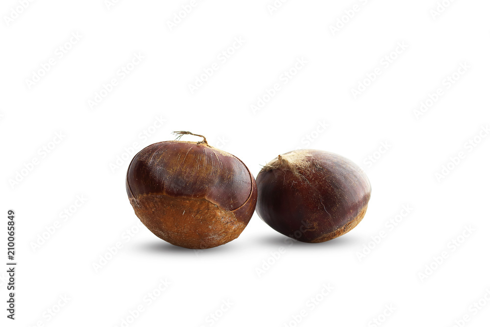 fresh chestnuts isolated on white background fresh chestnuts isolated on white background