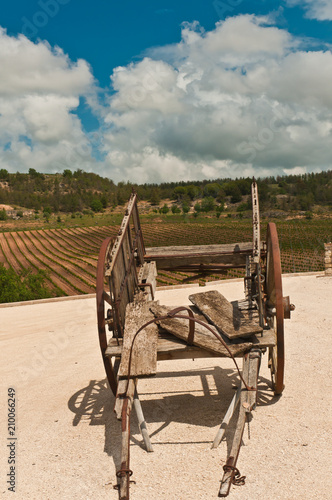 Front view, close up of a vintage, wood horse drawn cart on a gravel area with mature grape vineyard in the background on a sunny, summer day in the southeast region of wine country in Spain