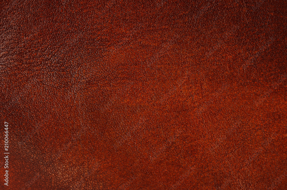 Fototapeta premium Natural leather background