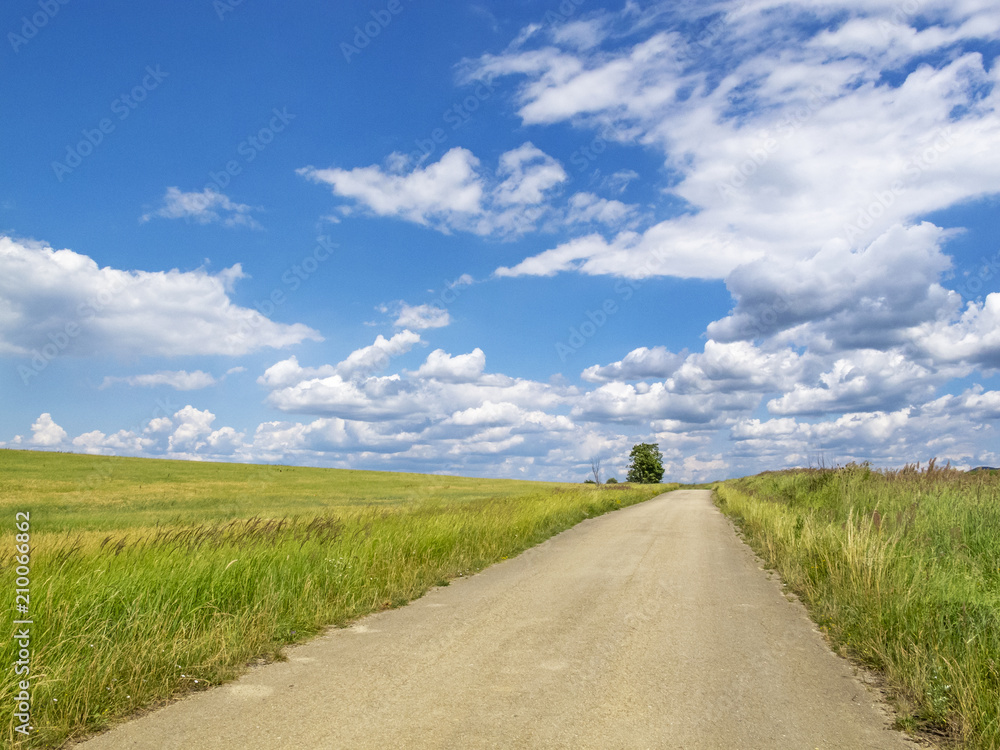 Asphalt country road vanishes to the right in covered with clouds sky