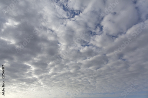 Fototapeta Naklejka Na Ścianę i Meble -  Evening sky, clouds. The texture of the sky. Cloudy sunset sky texture. clouds and blue sky..