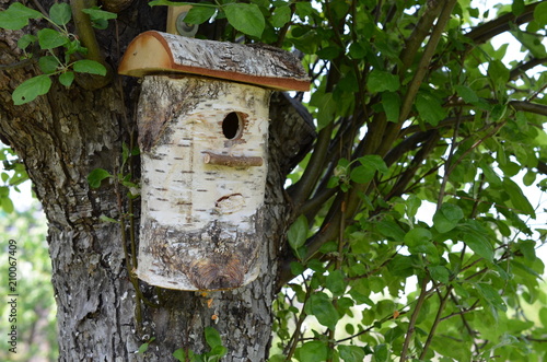Fototapeta Naklejka Na Ścianę i Meble -  Domek dla ptaków, budka lęgowa