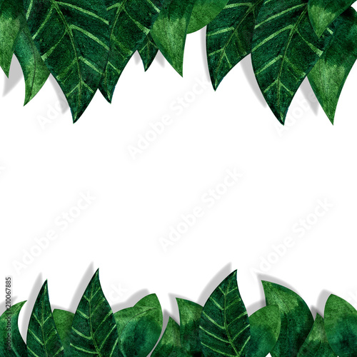 Green watercolor leaves on white background. Wedding ornament concept.