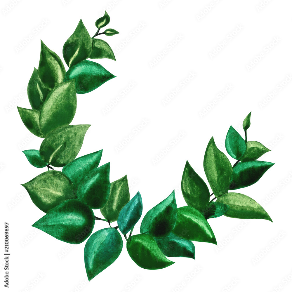 Green leaves floral circle. Wedding ornament concept.