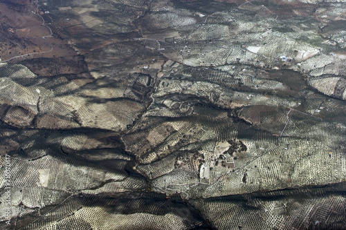 In-flight (aerial) shot of the Olive Groves of Andalucia, Spain.