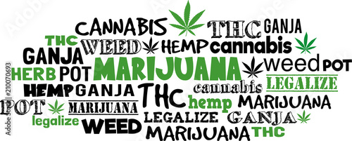 Marijuana synonyms word cloud design vector