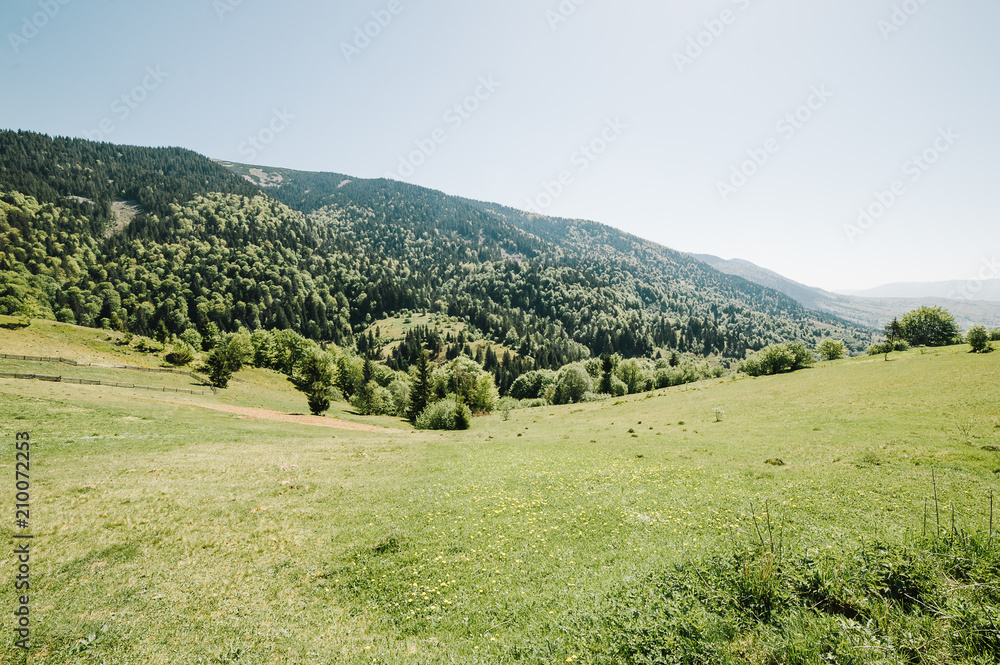 summer mountains green grass and blue sky landscape summer mountains green grass and blue sky landscape