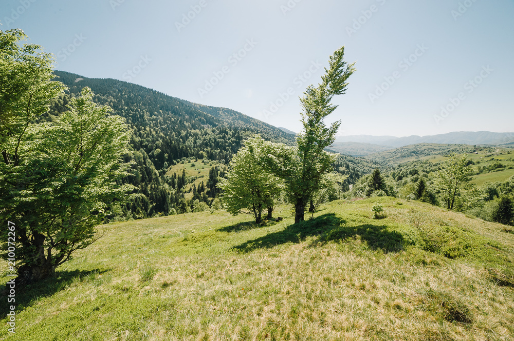 summer mountains green grass and blue sky landscape