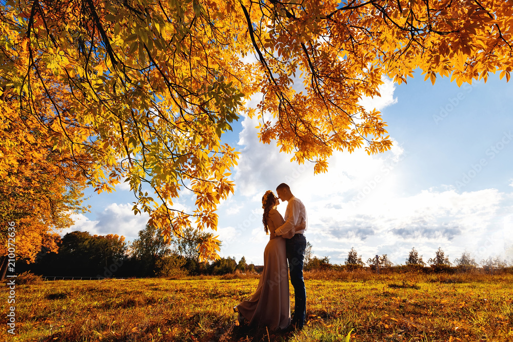 sensual hugs of a young couple on a beautiful autumn day under a tree with yellow leaves on a background of meadow and sky with clouds sensual hugs of a young couple on a beautiful autumn day under a tree with yellow leaves on a background of meadow and sky with clouds