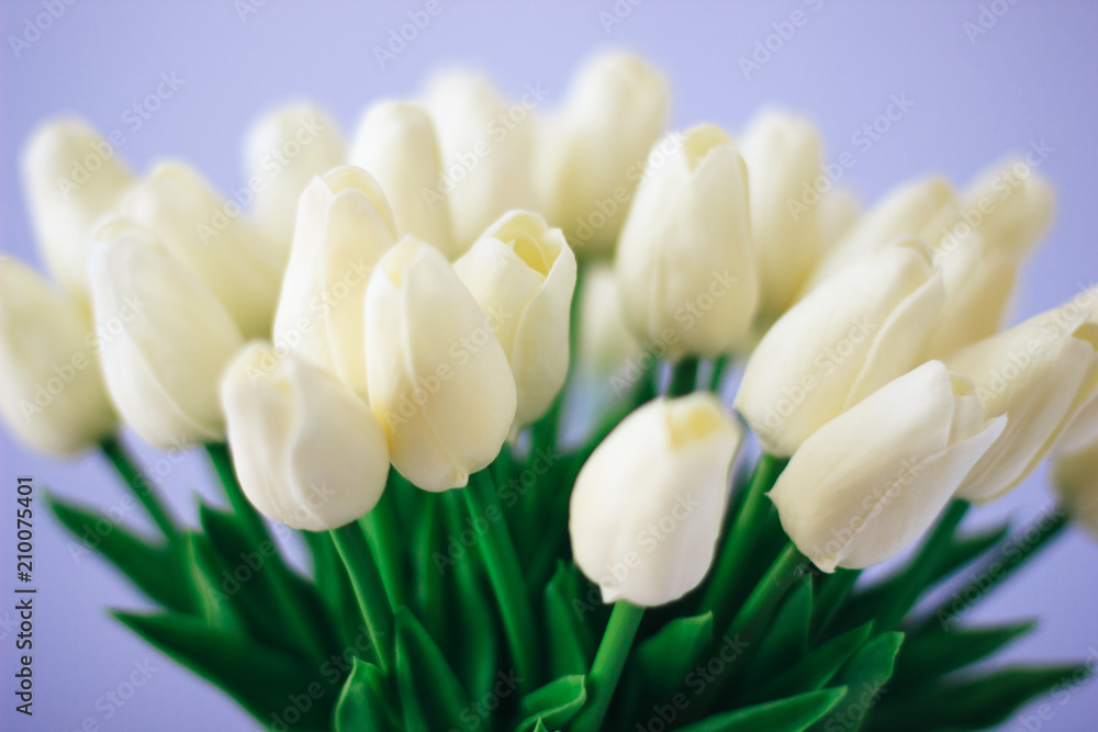 A bouquet of yellow tulips in a vase on the floor. A gift to a woman's day from creame tulip flowers. A bouquet of yellow tulips in a vase on the floor. A gift to a woman's day from creame tulip flowers.