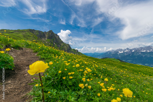 Auf dem Weg zum Berggipfel durch eine Blumenwiese
