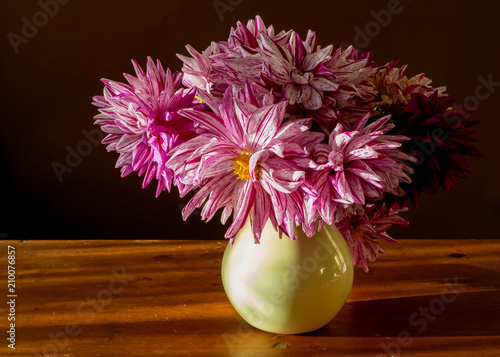 Fototapeta Naklejka Na Ścianę i Meble -  A lush arrangement of garden dahlias in yellow vase.