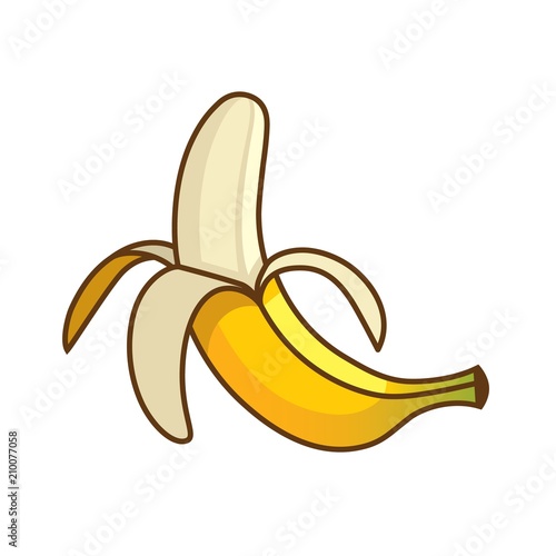 Banana illustration isolated on white background.