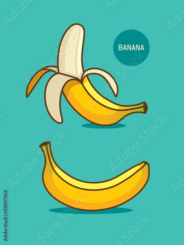 Two bananas illustration. Banana icon.