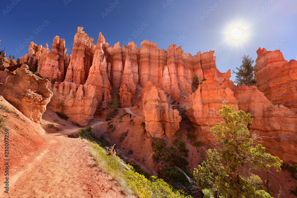 A trail in Bryce Canyon National Park in Utah, USA