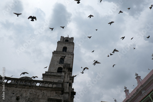 Looking up at church as a large flock of pigeons fly around the plaza of Convento de San Francisco de Asís (Convent of San Francisco of Asis) in the Plaza of San Francisco in Old Town Havana, Cuba.