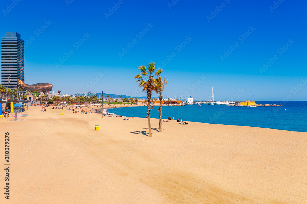 Barceloneta beach in Barcelona. Nice sand beach with palms. Sunny bright day with blue sky. Famous tourist destination in Catalonia, Spain