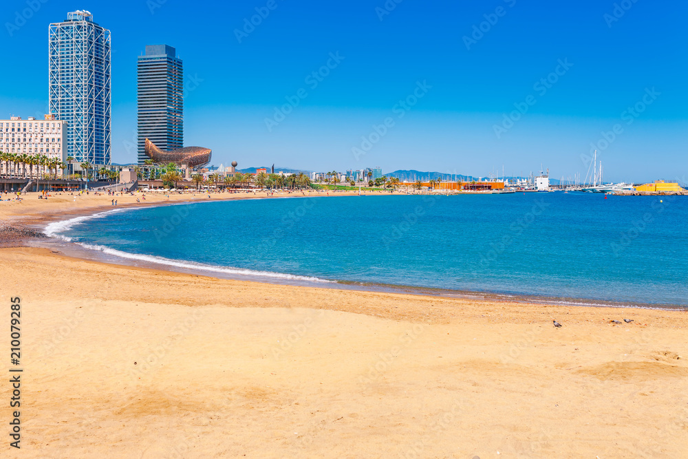 Barceloneta beach in Barcelona. Nice sand beach with palms. Sunny bright day with blue sky. Famous tourist destination in Catalonia, Spain