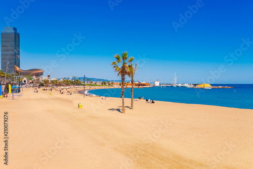 Barceloneta beach in Barcelona. Nice sand beach with palms. Sunny bright day with blue sky. Famous tourist destination in Catalonia, Spain © oleg_p_100