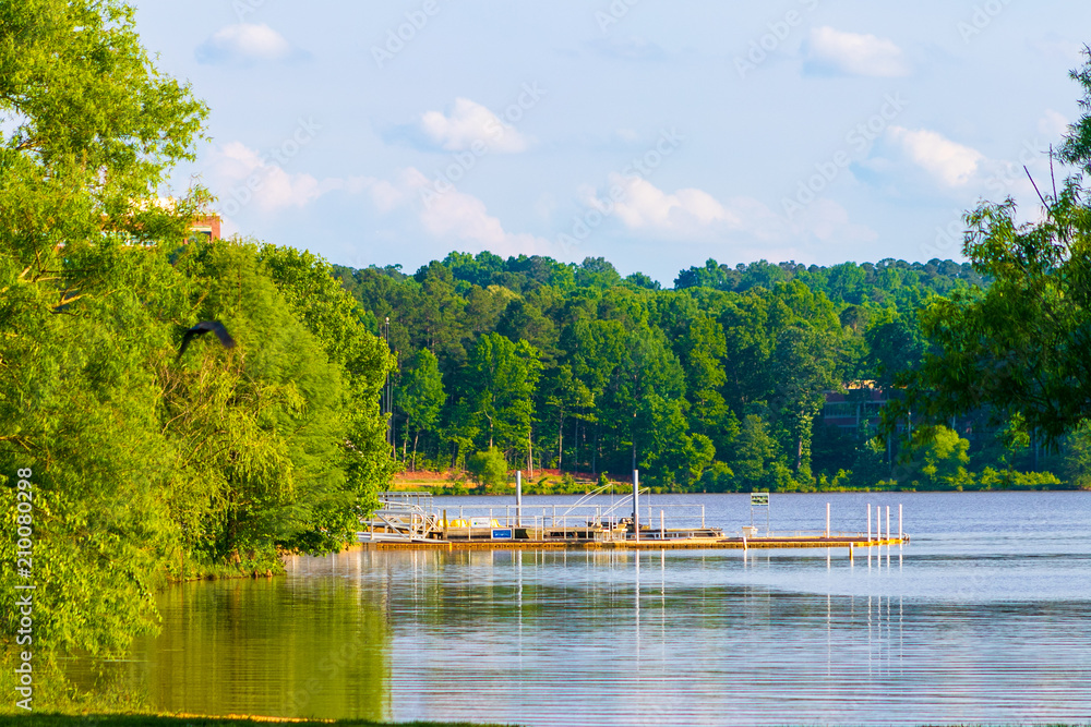 Fototapeta premium Beautiful Blue Sky and Vibrant Lake View 