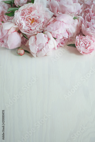 Flat lay concept with beautiful peonies on white wood  can be used as background