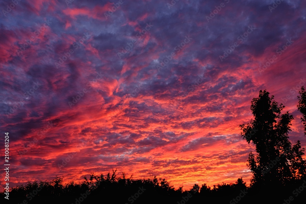 Vibrant red sunset with red clouds and tree on right side of photo