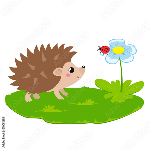 Vector illustration of cute hedgehog and flower with ladybug